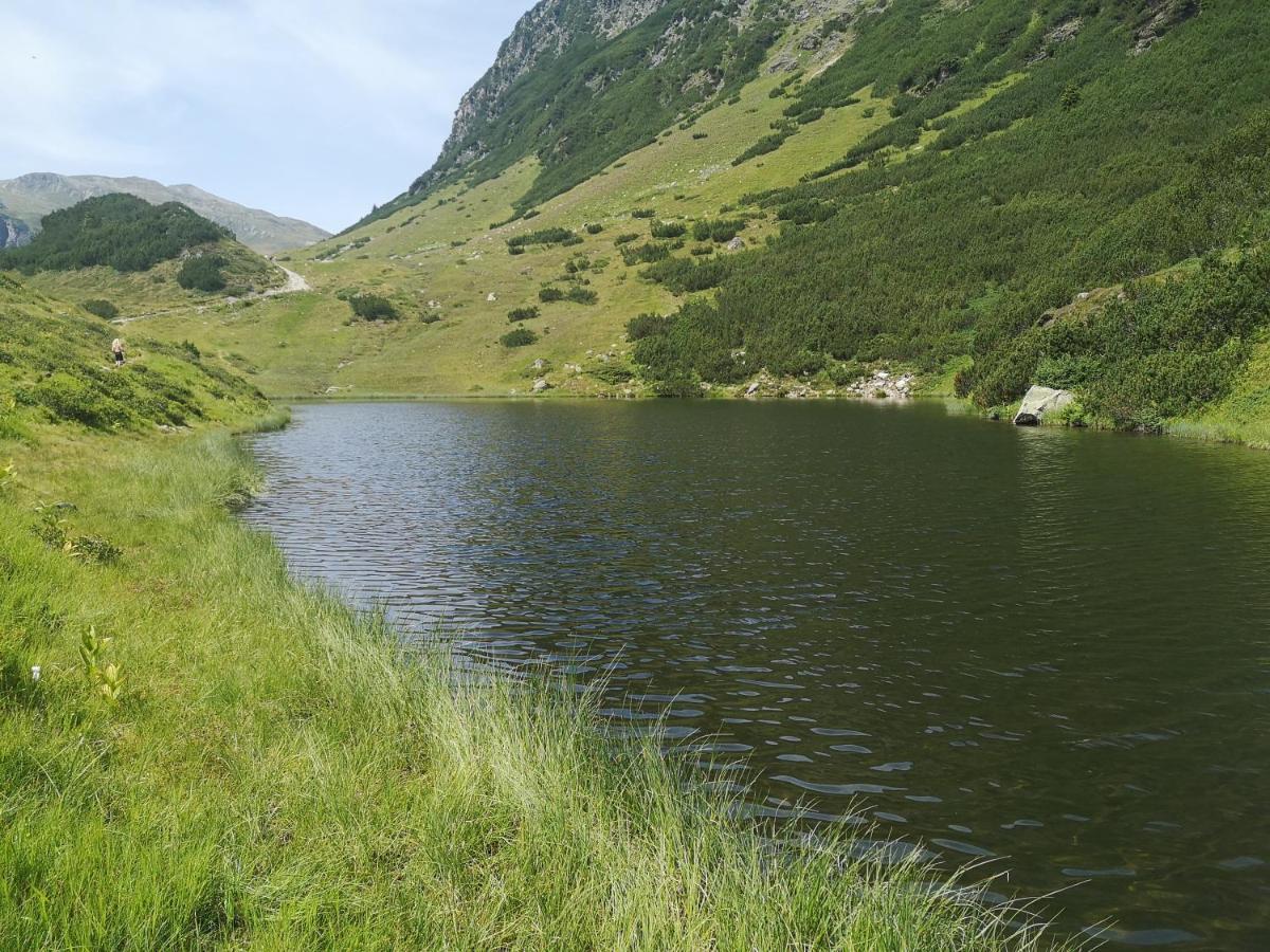 La Montagnia Appartamento